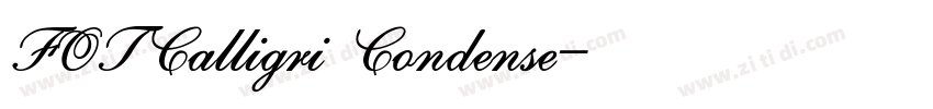 FOTCalligri Condense字体转换